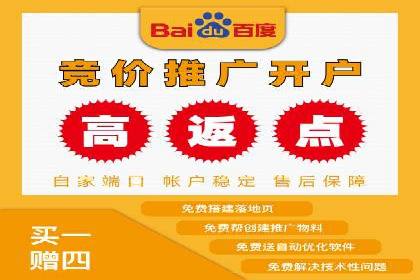 专业SEM代运营托管公司案例分析